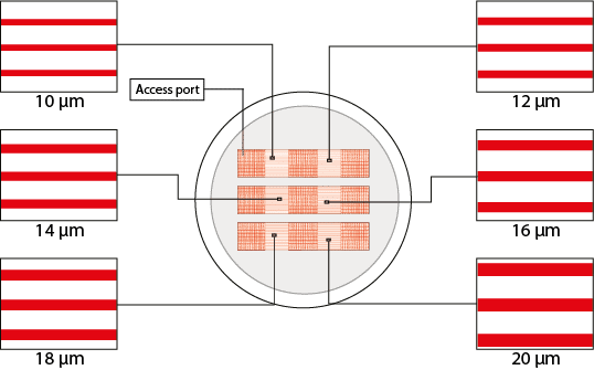 medium microchannels cell migration