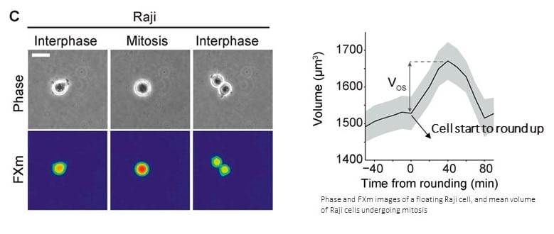 Cell volume measurement application