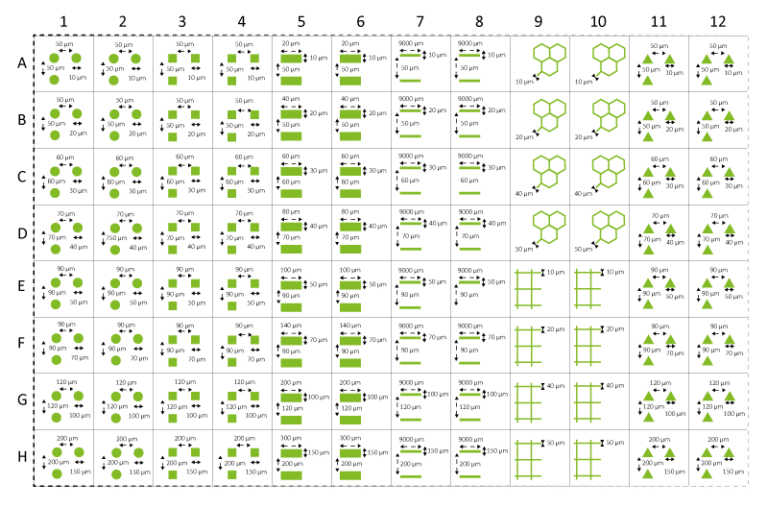 96 Well Plate – 4Dcell