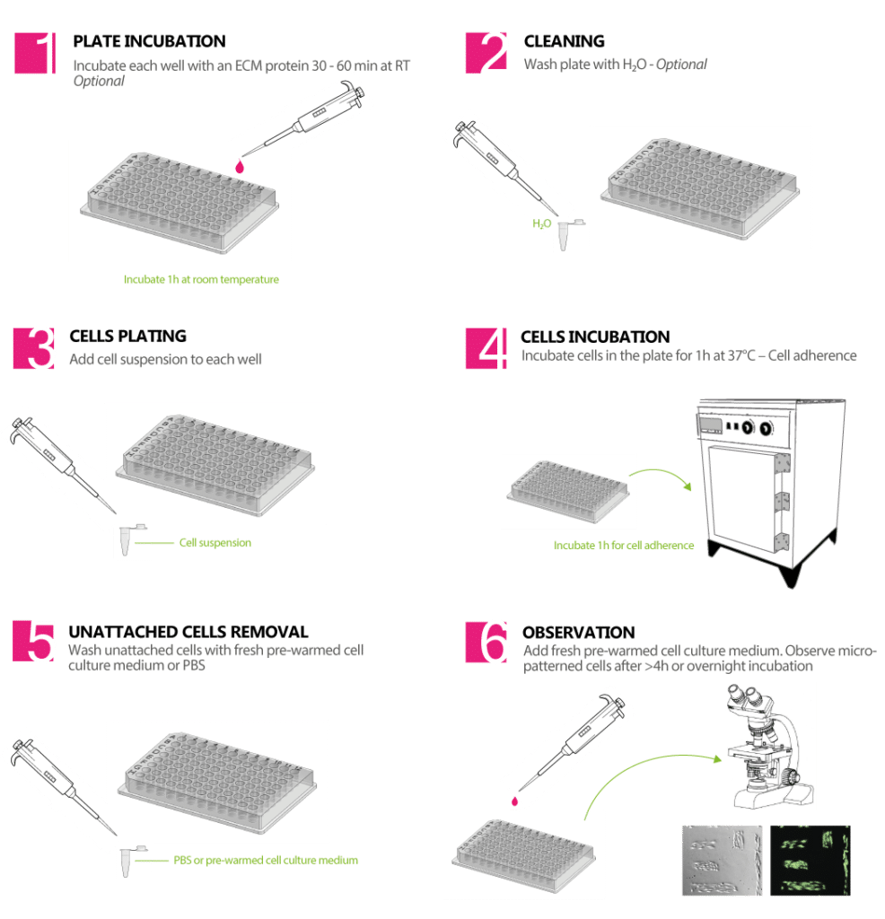 96-well-plate-4dcell